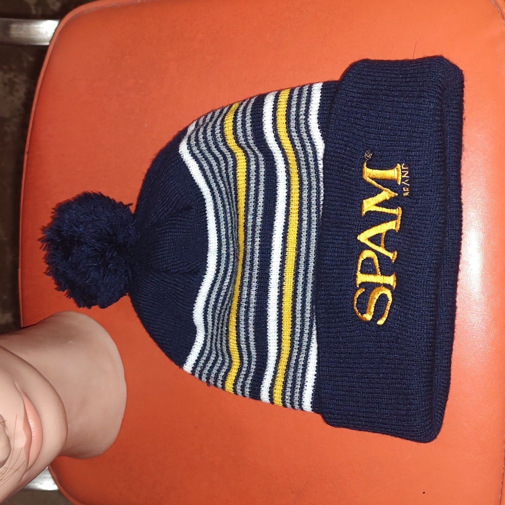 Striped SPAM Brand Beanie w/ Pom Pom